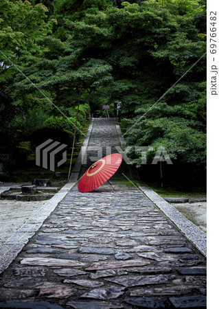 深緑の一休寺 69766482