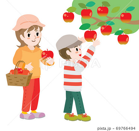 リンゴ狩りをする親子 男の子とお母さんのイラスト素材