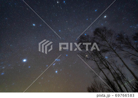 乗鞍高原　冬の星空　【長野県】 69766583