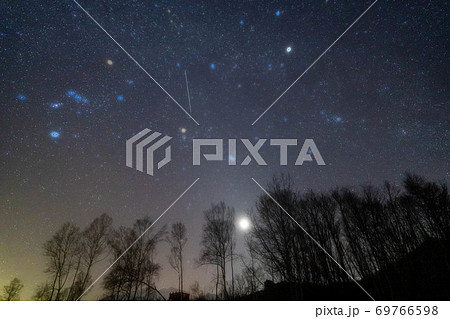 乗鞍高原 冬の星空 【長野県】 乗鞍高原 冬の星空 【長野県】 69766598