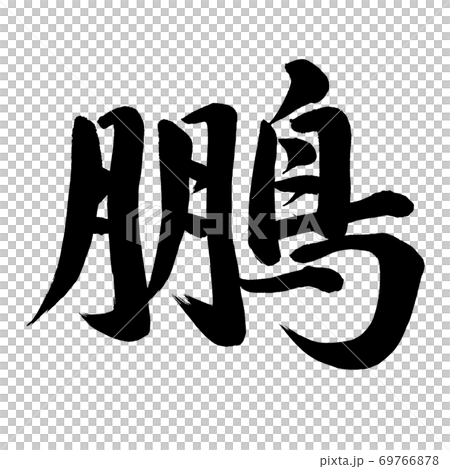 鵬のイラスト素材 [69766878] PIXTA