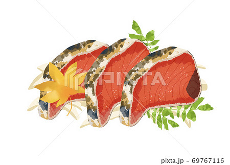 新鮮で美味しそうな鰹のタタキのイラストのイラスト素材