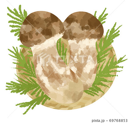 食欲の秋に食べたい高級食材松茸のイラストのイラスト素材