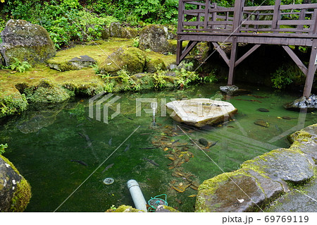 三陸ジオパーク龍泉洞の池 69769119