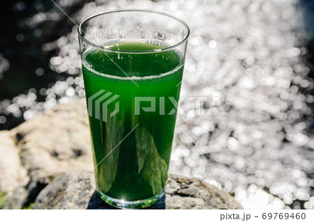 栄養補助食品 青汁 栄養補助食品 青汁 69769460