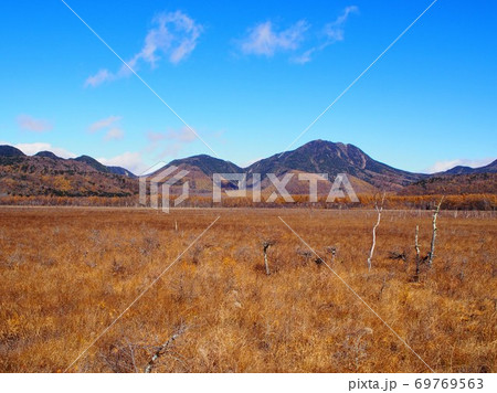 戦場ヶ原の草紅葉 69769563