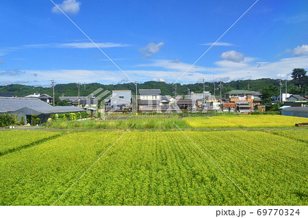 金谷駅から沼津駅までの東海道本線車窓からの風景 69770324