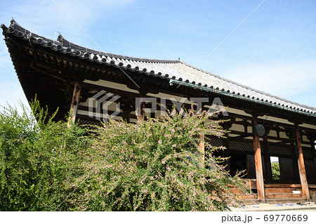 ハギの花が咲く元興寺　本堂 69770669