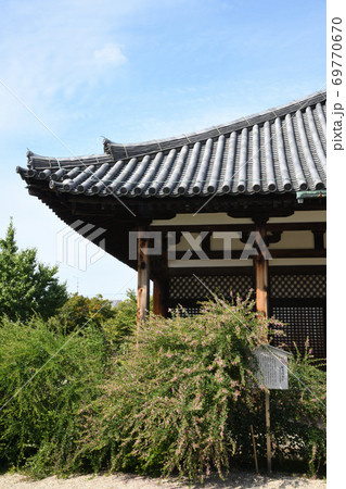 ハギの花が咲く元興寺　本堂 69770670