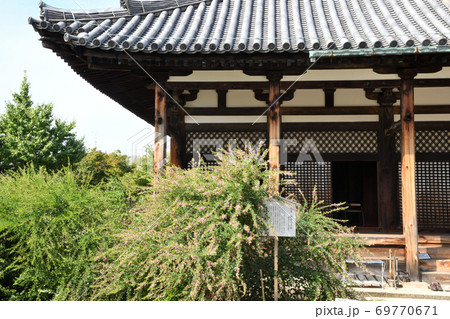 ハギの花が咲く元興寺　本堂 69770671