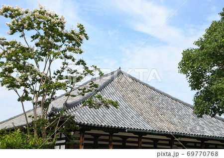サルスベリの花が咲く元興寺　本堂 69770768