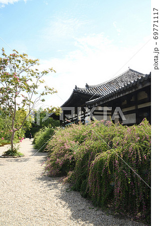 サルスベリとハギの花が咲く元興寺 禅室 サルスベリとハギの花が咲く元興寺 禅室 69771117