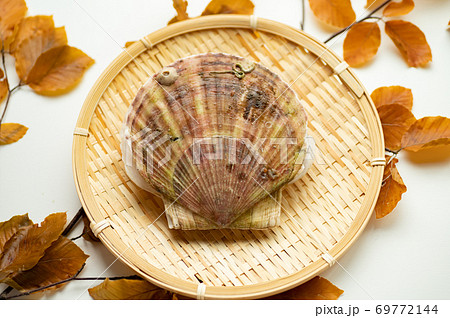 冬も夏も美味しい帆立貝 冬も夏も美味しい帆立貝 69772144