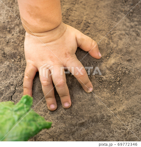 Child hand touch dry soil background Child hand touch dry soil background 69772346