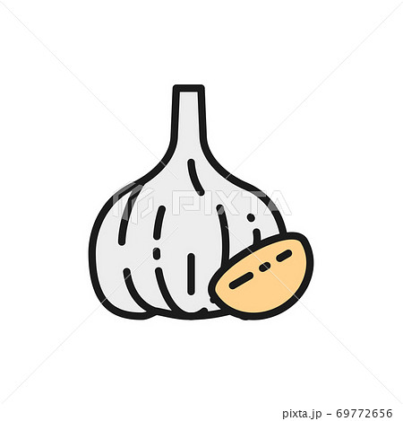 Garlic Spice Flat Color Line Icon Isolated On のイラスト素材