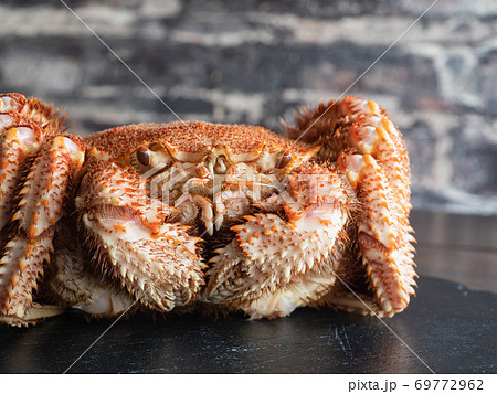 日本の毛蟹 トゲと毛がびっしりの茹でた蟹 の写真素材