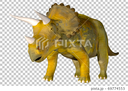 Triceratops 69774553