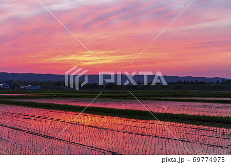 鮮やかな夕日と水田地帯　福島県会津坂下町 69774973