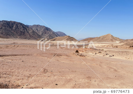 desert-mountainous terrain, asphalt road with fences and road signs leaving in the distance, colorful sand and mountains of limestone and volcanic deposits, single-horned camel,Egypt. 69776473