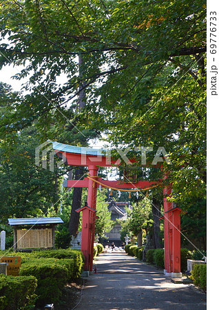 諏訪神社の鳥居(椎崎諏訪神社・佐渡島/新潟県佐渡市原黒724) 諏訪神社の鳥居(椎崎諏訪神社・佐渡島/新潟県佐渡市原黒724) 69776733