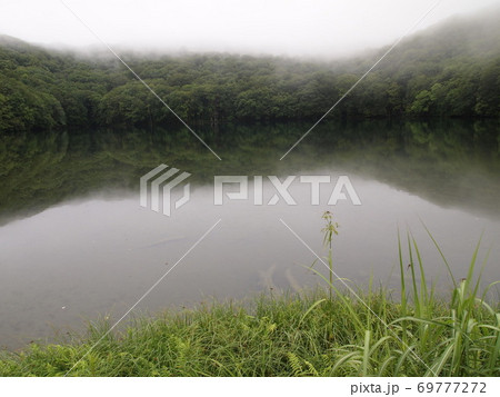 蔦沼 蔦沼 69777272