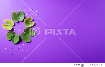 Happy Dussehra. Green leaf and rice on purple pastel background. Dussehra Indian Festival concept. Happy Dussehra. Green leaf and rice on purple pastel background. Dussehra Indian Festival concept. 69777534