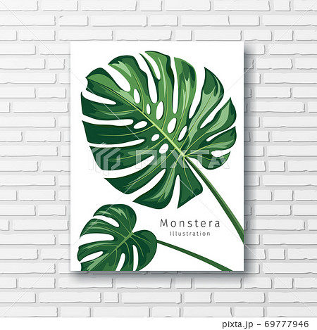 Monstera leave print white frame, on block wall vector Monstera leave print white frame, on block wall vector 69777946