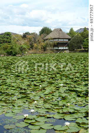 美作国津山 69777957