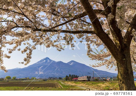 春の磐梯山と磐越西線の列車　福島県猪苗代町 69778561
