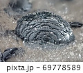 赤鉄鉱(ヘマタイト)の結晶 69778589