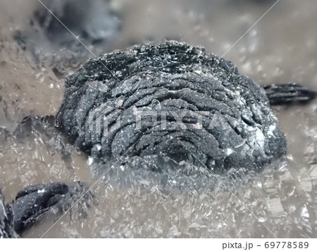 赤鉄鉱(ヘマタイト)の結晶 69778589