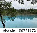 青い池 69778672