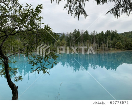 青い池 69778672