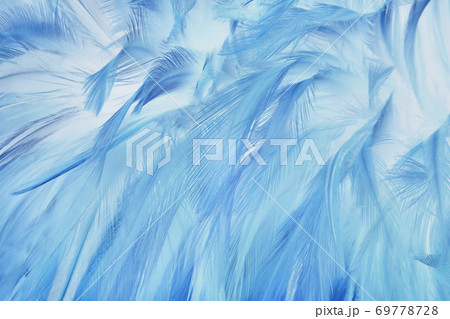 Blue pastel bird feathers pattern texture background. 69778728