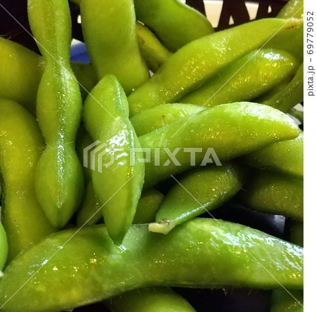 出来立て枝豆 出来立て枝豆 69779052