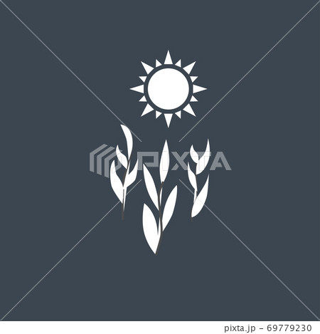 Growth Under the Sun 69779230