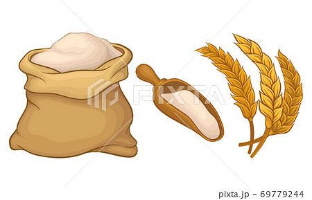 Ear of Wheat as Grain-bearing Stem of Cereal Plant and Flour Sack Vector Set 69779244