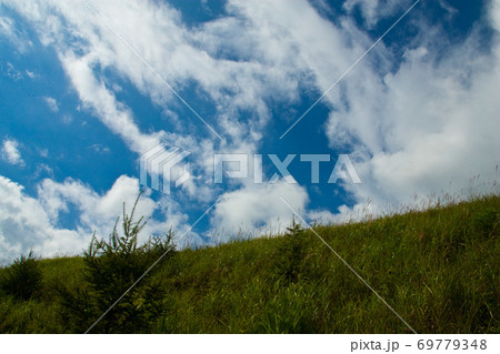 草原と青空 車山 草原と青空 車山 69779348