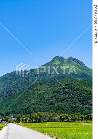 8月の由布岳の風景【快晴】 69779502