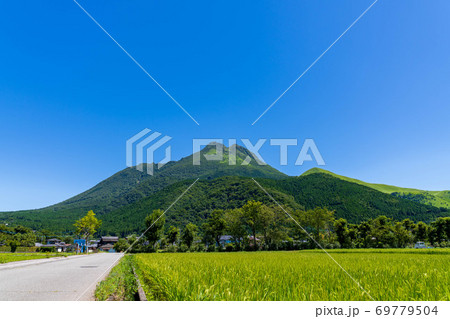 8月の由布岳の風景【快晴】 69779504
