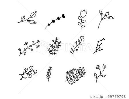 Set of vector sketches and line doodles logo. Hand drawn design elements isolated flowers, leaves, herbs for decoration prints, labels, patterns. Illustration coloring book 69779798