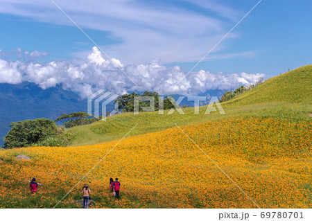 台湾 カップル 夫婦 69780701