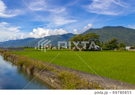 台湾 カップル 夫婦 69780855