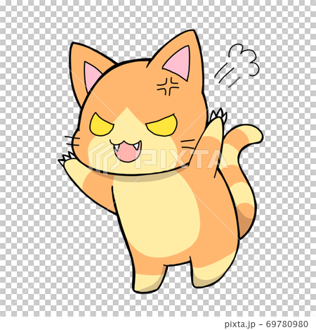 橙貓，憤怒 69780980