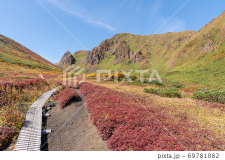 紅葉期の秋田駒ヶ岳・馬場の小路（ムーミン谷） 69781082
