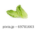 fresh baby cos on white background 69781663