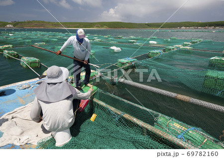 海 海事 海軍 69782160