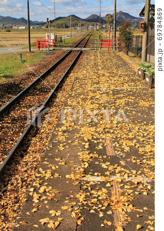 北条鉄道・網引駅のイチョウの落葉 69784869