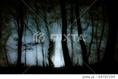 dark misty forest panorama fantasy halloween landscape dark misty forest panorama fantasy halloween landscape 69787394