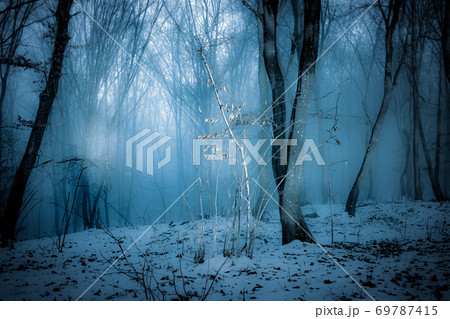 dark misty forest panorama fantasy halloween landscape dark misty forest panorama fantasy halloween landscape 69787415